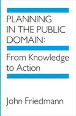 Planning in the Public Domain From Knowledge to Action  9780691022680 Front Cover