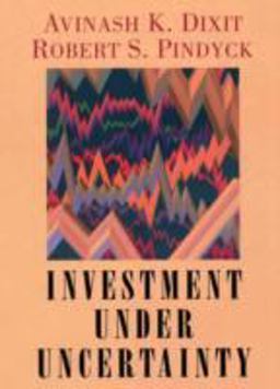 Investment under Uncertainty  9780691034102 Front Cover