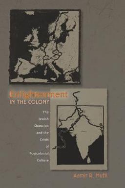 Enlightenment in the Colony The Jewish Question and the Crisis of Postcolonial Culture  9780691057323 Front Cover