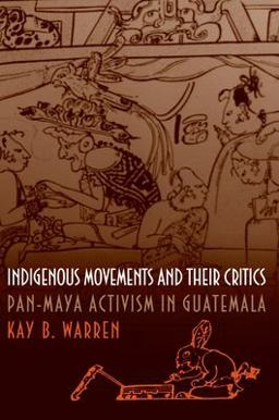 Indigenous Movements and Their Critics Pan-Maya Activism in Guatemala  9780691058825 Front Cover