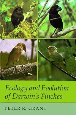Ecology and Evolution of Darwin's Finches (Princeton Science Library Edition) Princeton Science Library Edition  9780691084282 Front Cover