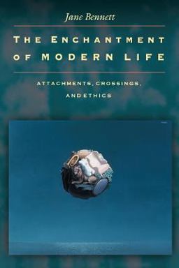 Enchantment of Modern Life Attachments, Crossings, and Ethics  9780691088136 Front Cover