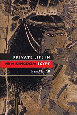 Private Life in New Kingdom Egypt  9780691120584 Front Cover