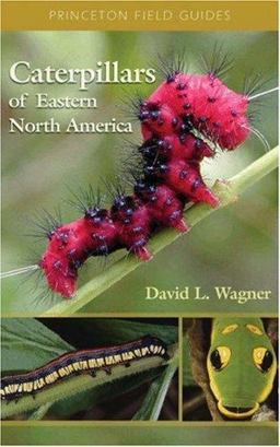Caterpillars of Eastern North America A Guide to Identification and Natural History  9780691121444 Front Cover