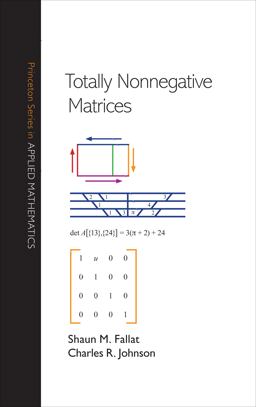 Totally Nonnegative Matrices  9780691121574 Front Cover