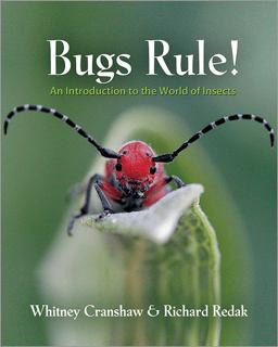 Bugs Rule! An Introduction to the World of Insects  9780691124957 Front Cover