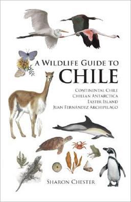 Wildlife Guide to Chile Continental Chile, Chilean Antarctica, Easter Island, Juan Fernï¿½ndez Archipelago  9780691129761 Front Cover