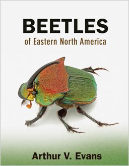 Beetles of Eastern North America  9780691133041 Front Cover