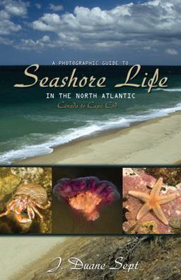 Photographic Guide to Seashore Life in the North Atlantic Canada to Cape Cod  9780691133195 Front Cover