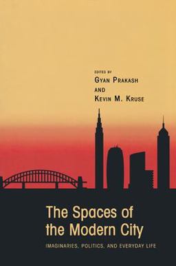 Spaces of the Modern City  9780691133430 Front Cover