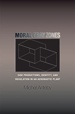 Moral Gray Zones Side Productions, Identity, and Regulation in an Aeronautic Plant  9780691135243 Front Cover