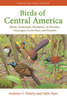 Birds of Central America Belize, Guatemala, Honduras, el Salvador, Nicaragua, Costa Rica, and Panama  9780691138022 Front Cover