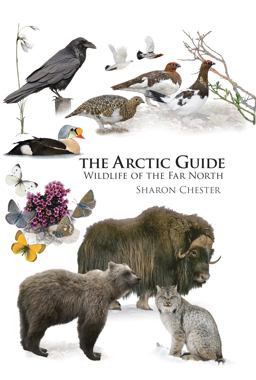 Arctic Guide Wildlife of the Far North  9780691139753 Front Cover