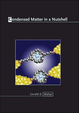 Condensed Matter in a Nutshell  9780691140162 Front Cover