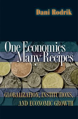 One Economics, Many Recipes Globalization, Institutions, and Economic Growth  9780691141176 Front Cover