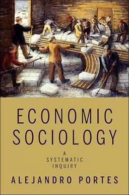 Economic Sociology A Systematic Inquiry  9780691142234 Front Cover