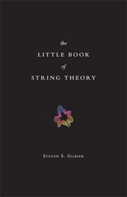 Little Book of String Theory  9780691142890 Front Cover
