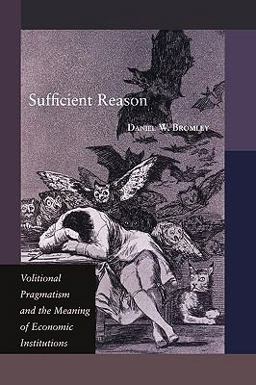 Sufficient Reason Volitional Pragmatism and the Meaning of Economic Institutions  9780691144399 Front Cover