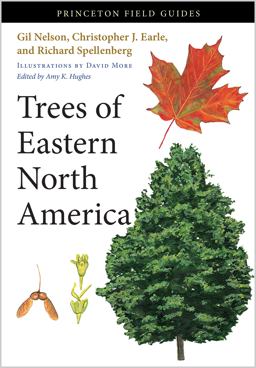 Trees of Eastern North America  9780691145914 Front Cover