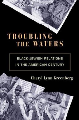 Troubling the Waters Black-Jewish Relations in the American Century  9780691146164 Front Cover