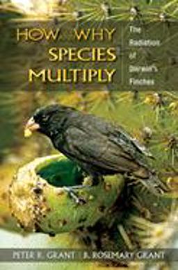 How and Why Species Multiply The Radiation of Darwin's Finches  9780691149998 Front Cover