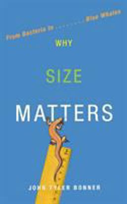 Why Size Matters From Bacteria to Blue Whales  9780691152332 Front Cover