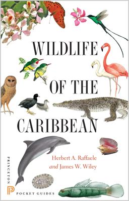 Wildlife of the Caribbean  9780691153827 Front Cover