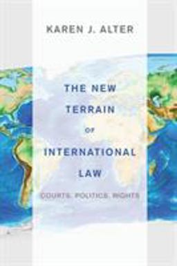 New Terrain of International Law Courts, Politics, Rights  9780691154756 Front Cover