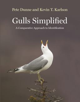 Gulls Simplified A Comparative Approach to Identification  9780691156941 Front Cover