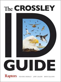 Crossley ID Guide Raptors  9780691157405 Front Cover