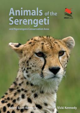 Animals of the Serengeti And Ngorongoro Conservation Area  9780691159089 Front Cover
