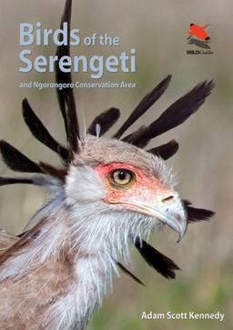 Birds of the Serengeti And Ngorongoro Conservation Area  9780691159102 Front Cover