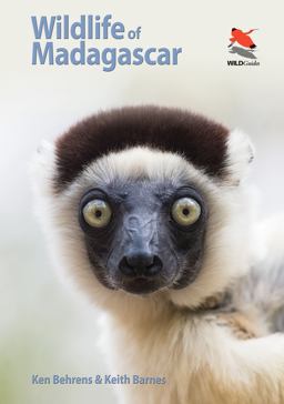 Wildlife of Madagascar  9780691161716 Front Cover