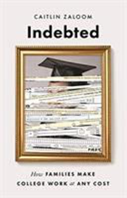 Indebted How Families Make College Work at Any Cost  9780691164311 Front Cover