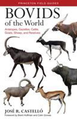 Bovids of the World Antelopes, Gazelles, Cattle, Goats, Sheep, and Relatives  9780691167176 Front Cover