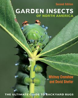 Garden Insects of North America: The Ultimate Guide to Backyard Bugs  9780691167442 Front Cover
