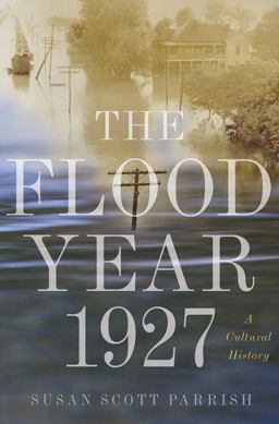 Flood Year 1927 A Cultural History  9780691168838 Front Cover