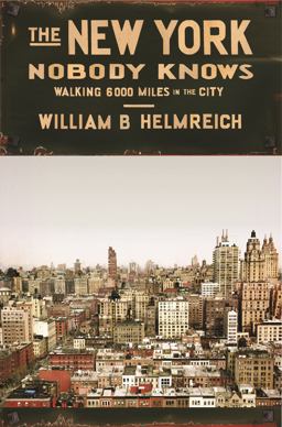 New York Nobody Knows Walking 6,000 Miles in the City  9780691169705 Front Cover