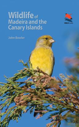Wildlife of Madeira and the Canary Islands A Photographic Field Guide to Birds, Mammals, Reptiles, Amphibians, Butterflies and Dragonflies  9780691170763 Front Cover