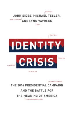 Identity Crisis: The 2016 Presidential Campaign and the Battle for the Meaning of America  9780691174198 Front Cover