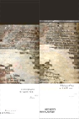 Unstill Ones Poems  9780691176833 Front Cover