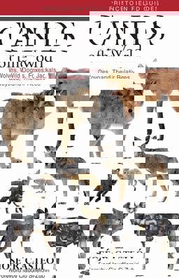 Canids of the World Wolves, Wild Dogs, Foxes, Jackals, Coyotes, and Their Relatives  9780691176857 Front Cover
