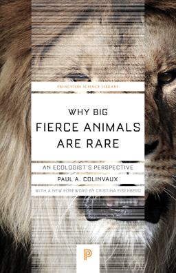 Why Big Fierce Animals Are Rare An Ecologist's Perspective  9780691178080 Front Cover