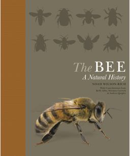 Bee A Natural History  9780691182476 Front Cover