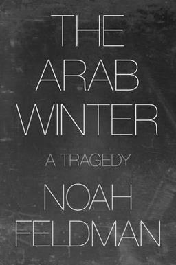 Arab Winter A Tragedy  9780691194929 Front Cover
