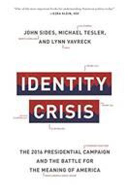 Identity Crisis: The 2016 Presidential Campaign and the Battle for the Meaning of America  9780691196435 Front Cover