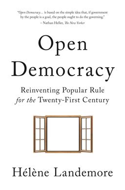 Open Democracy Reinventing Popular Rule for the 21st Century  9780691212395 Front Cover
