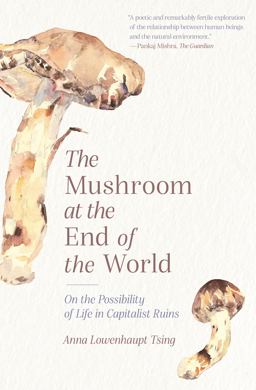 Mushroom at the End of the World On the Possibility of Life in Capitalist Ruins  9780691220550 Front Cover