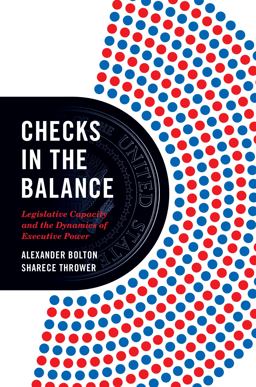 Checks in the Balance Legislative Capacity and the Dynamics of Executive Power  9780691224596 Front Cover