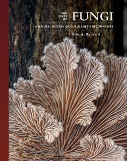 Lives of Fungi A Natural History of Our Planet's Decomposers  9780691229843 Front Cover